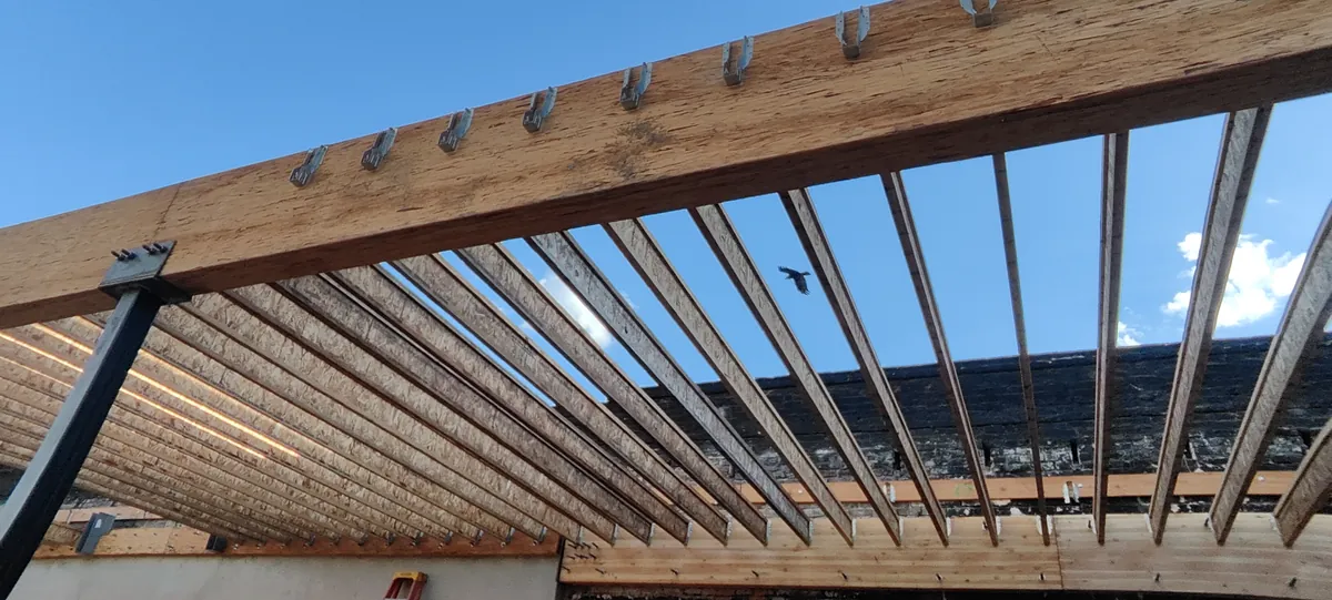 New roof joists framed on steel, open to the sky before sheathing